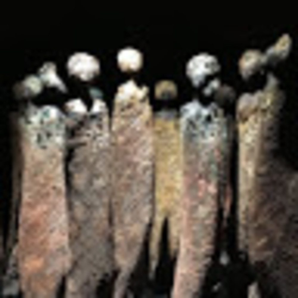 Meet your Posher, Chahni